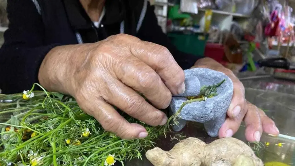 Foro Temático Medicina Tradicional y Justicia Indígena