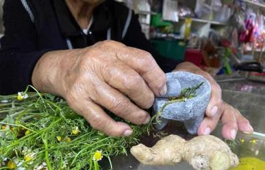 Foro Temático Medicina Tradicional y Justicia Indígena