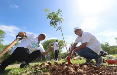 La comunidad de la Uady participa nuevamente en la Cruzada Forestal