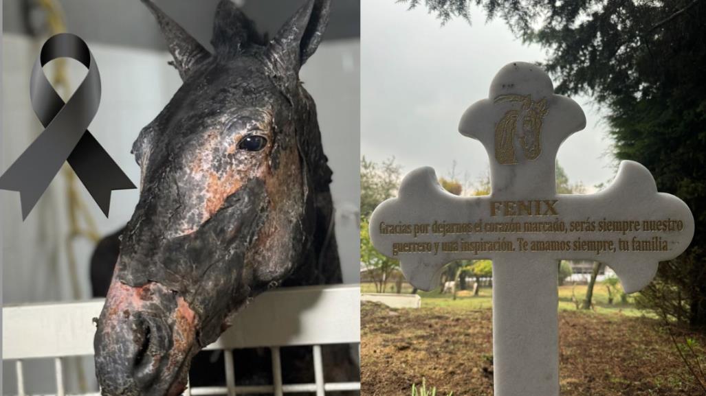 Funeral de Fénix: emotivo homenaje a un valiente guerrero