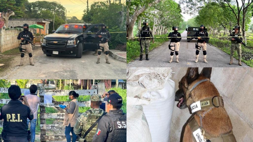 Operativo conjunto en Panabá logra asegurar drogas naturales y sintéticas