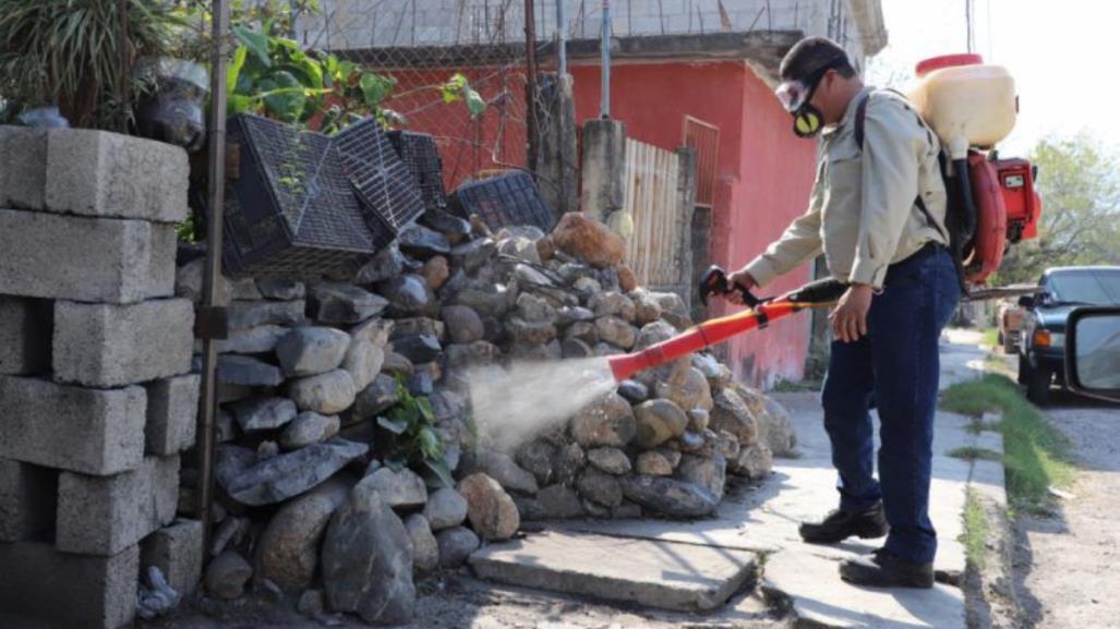 Casos de dengue al alza en el sur de Tamaulipas