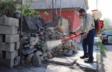 Casos de dengue al alza en el sur de Tamaulipas