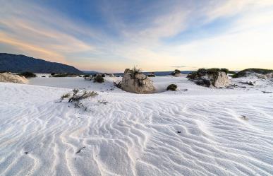 Dunas de Yeso en Cuatro Ciénegas: el paraíso blanco en Coahuila