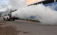 Refuerzan acciones de combate al mosquito transmisor de enfermedades por vector