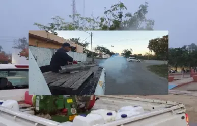 Intensifican programa de fumigación contra moscos en Progreso