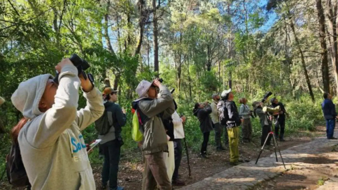 La invitación a visitar y avistar la naturalez en la ciénega de Lerma es para este domingo 29 de junio. Foto: Museo de Ciencias Naturales de Edomex