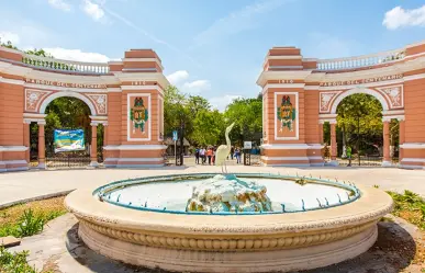 Cae árbol en el recinto de los jaguares del Centenario de Mérida