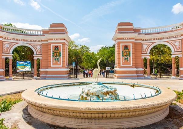 Cae árbol en el recinto de los jaguares del Centenario de Mérida