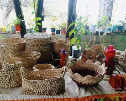 Así quieren proteger de la piratería las artesanías de BCS
