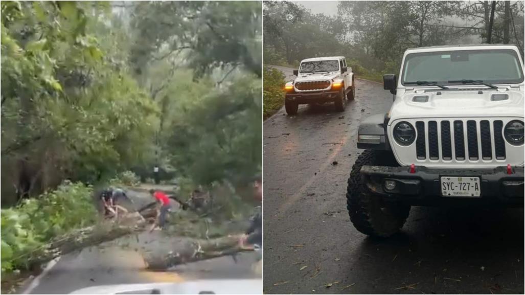 Retiran árboles en Sierra de Santiago tras tormenta Alberto