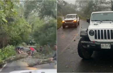 Retiran árboles en Sierra de Santiago tras tormenta Alberto