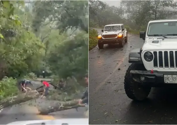 Retiran árboles en Sierra de Santiago tras tormenta Alberto