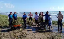 Medidas de limpieza en playa Miramar por lirio acuático