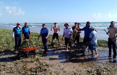 Medidas de limpieza en playa Miramar por lirio acuático