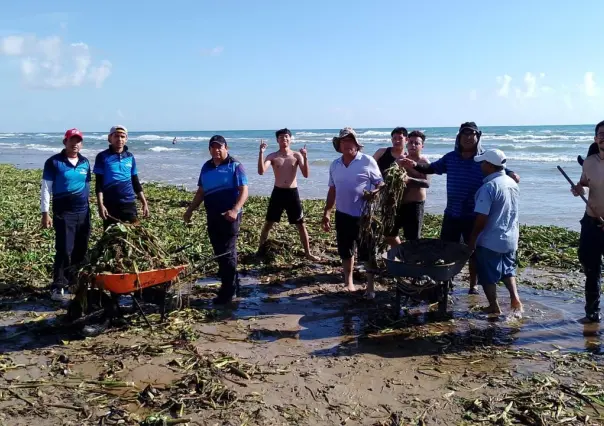 Medidas de limpieza en playa Miramar por lirio acuático