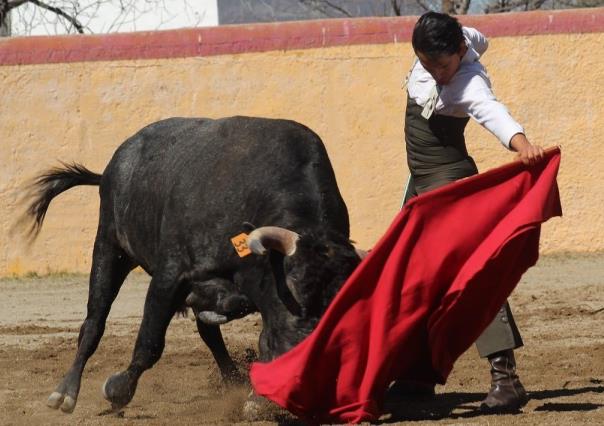 Fiesta Brava en Victoria