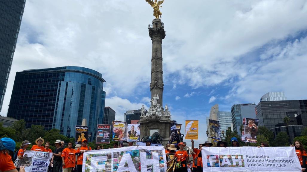 Marcha Nacional por los derechos animales se llevó acabo este domingo