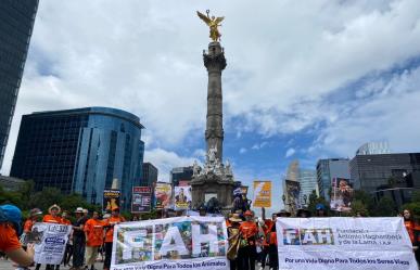 Marcha Nacional por los derechos animales se llevó acabo este domingo