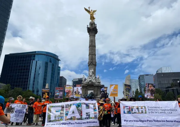 Marcha Nacional por los derechos animales se llevó acabo este domingo