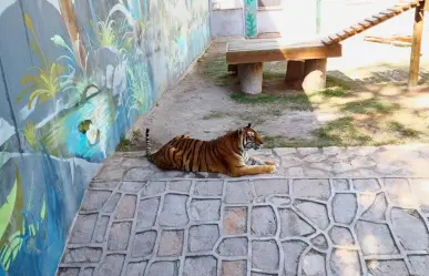 Alertan sobre fauna silvestre en los parques Sahuatoba y Guadiana