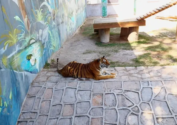 Alertan sobre fauna silvestre en los parques Sahuatoba y Guadiana