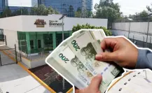 Comienza el pago de Programas para el Bienestar: Conoce cuándo te toca cobrar