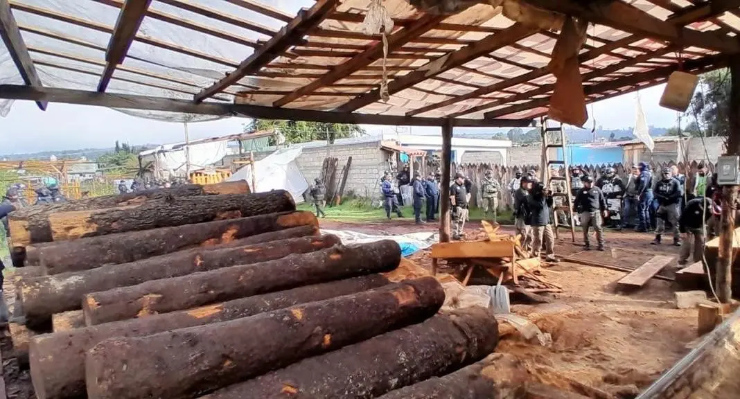 Se ejecutaron dos órdenes de cateo en dos aserraderos clandestinos que operaban en la comunidad de Santa Lucía. Imagen: GEM