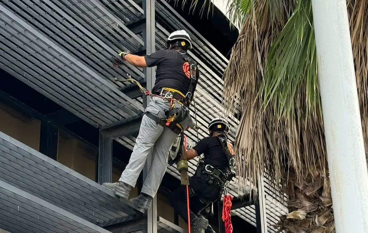 Se dio a conocer que en una primera instancia era un minino el que se encontraba en problemas, sin embargo y al momento de subir los rescatistas que encontraron con que eran tres los gatos en las alturas. Foto. PCNL.