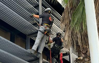 Rescatan a tres gatitos atrapados en las alturas en Monterrey