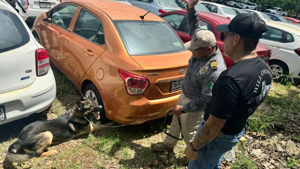 La  unidad canina de la SSP logra una certificación