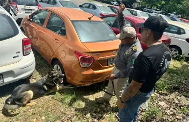 La  unidad canina de la SSP logra una certificación