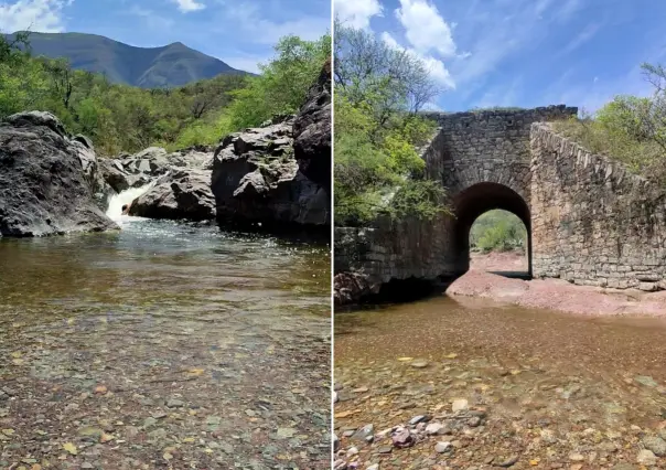 Las Gabrielas en el Camino Real a Tula: tesoro que cobró vida con las lluvias