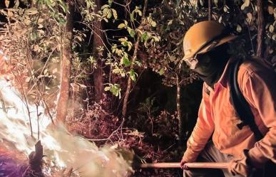 Termina temporada de incendios forestales, sur de Edomex lo más afectado