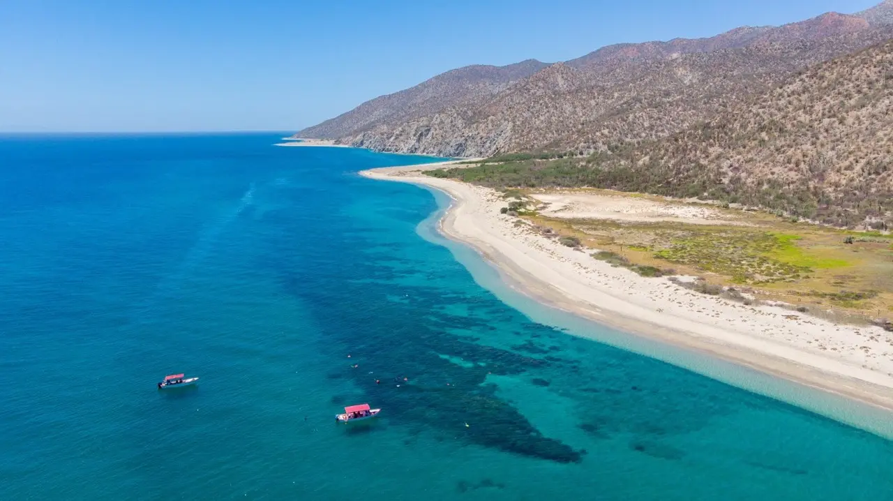 Isla Cerralvo, Baja California Sur. Foto: Joel Cosío