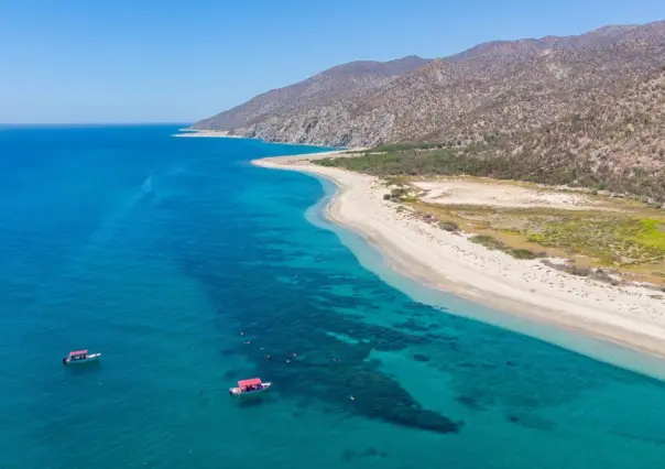 Isla Cerralvo: Una parada inolvidable en el Mar de Cortés