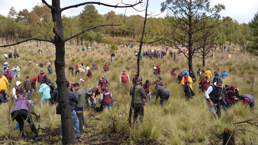 Arranca reforestación estatal con mil 500 árboles plantados