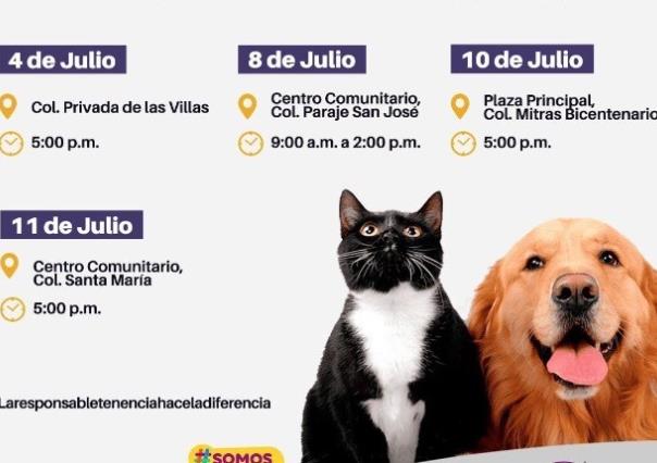 ¡Cuida la salud de tu mascota en el Municipio de García!