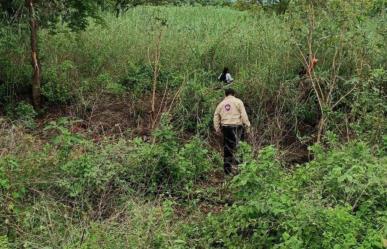 Localizan tres fosas clandestinas en Zacatepec, Morelos