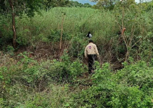 Localizan tres fosas clandestinas en Zacatepec, Morelos