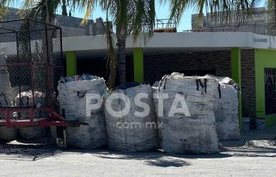 ¿Se puede vivir del reciclaje?, conoce cómo aprovechar el material reutilizable