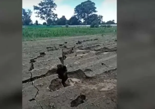 Enormes grietas en terrenos de Atenco: Riesgo para viviendas y cultivos