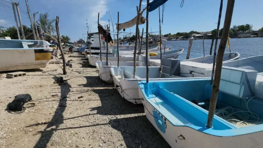 Huracán Beryl: Autoridades exhortan a evacuar en Celestún