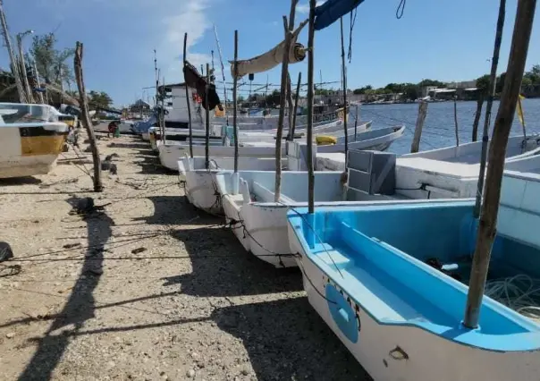 Huracán Beryl: Autoridades exhortan a evacuar en Celestún