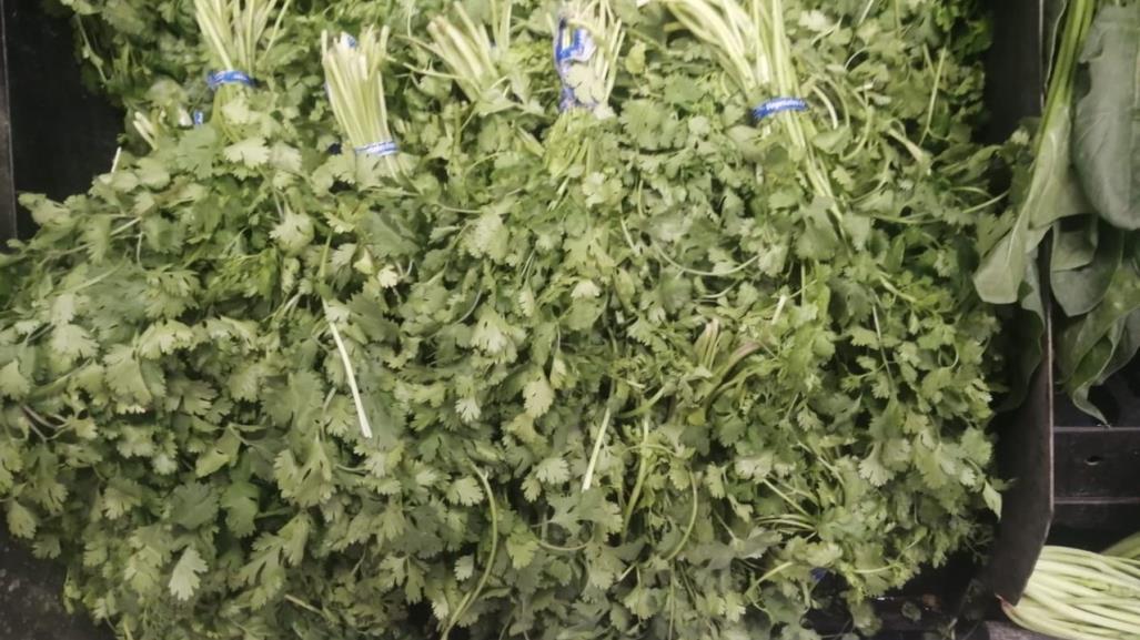 Precio del cilantro se fue por las nubes