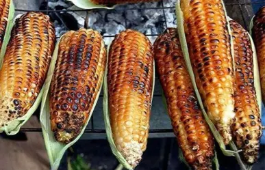 Feria del Elote 2024 en Milpa Alta: ¡Ya Hay Fecha para este Evento Tradicional!