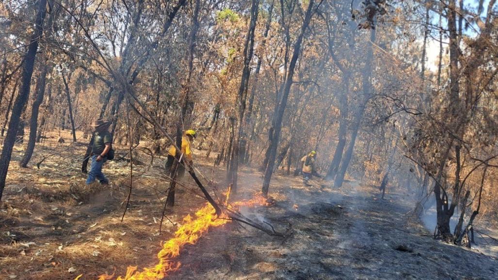 Incendios forestales: Registra Edomex 32 mil hectáreas afectadas