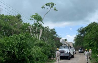 CFE activa plan de emergencia por huracán en Quintana Roo