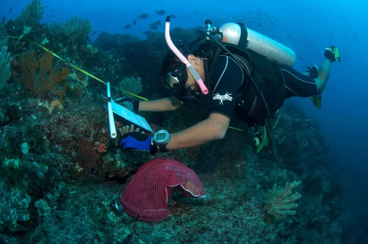 Se sumaron más de 1,500 horas de buceo a las 4,000 ya registradas en el proyecto. Foto Cortesía por UABCS