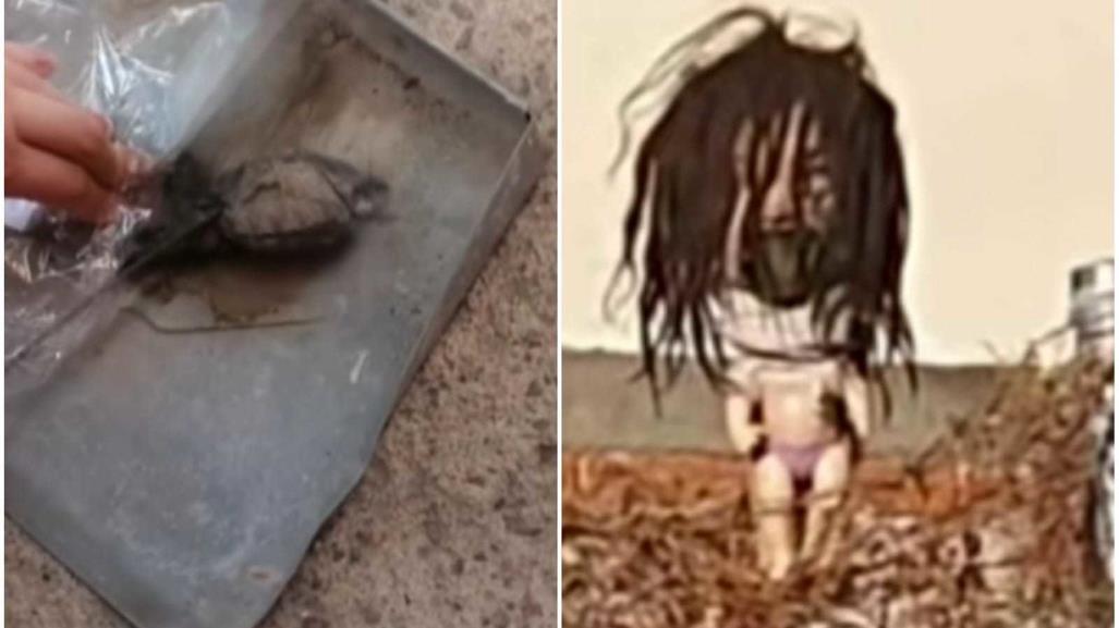 ¿Brujería? Mujer encuentra espeluznante muñeco en su casa (VIDEO)